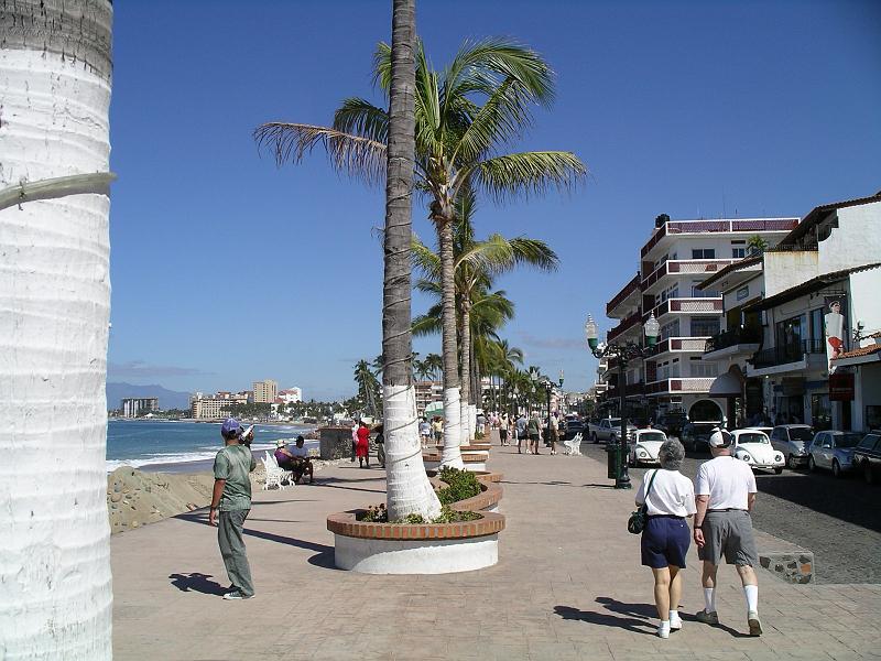 vallarta 017.jpg
